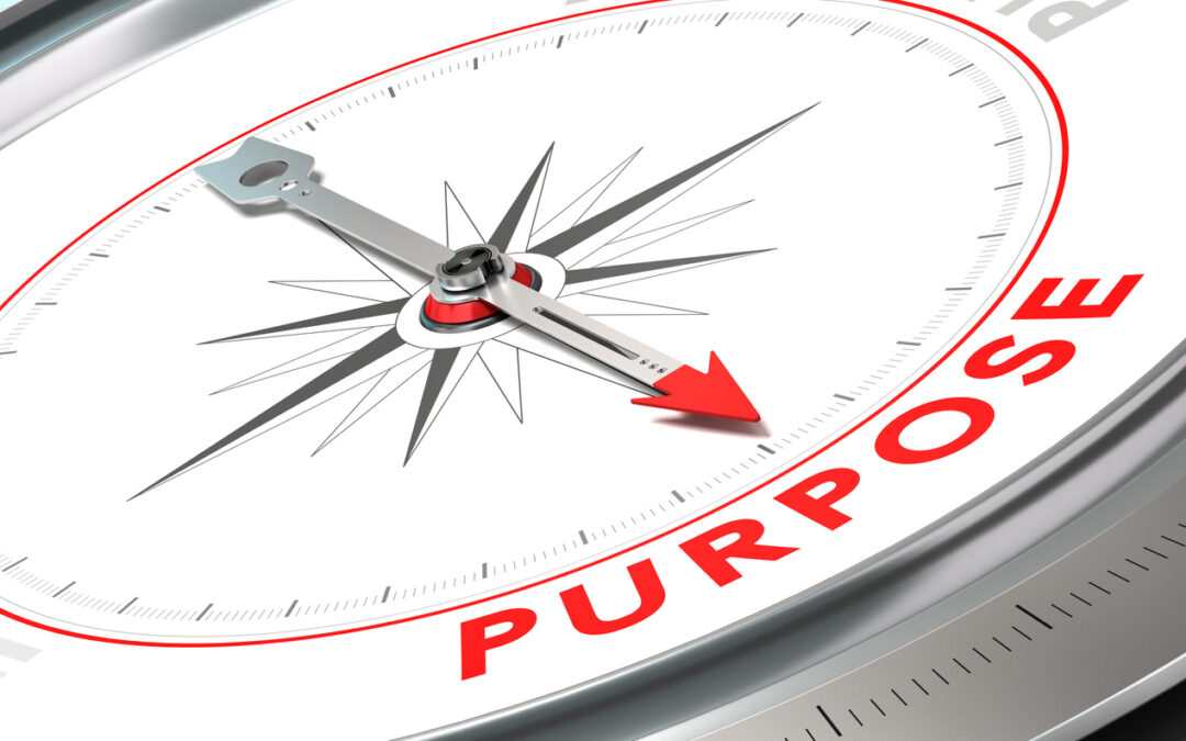 Finding Purpose: Similarities and Importance for Individuals and Businesses