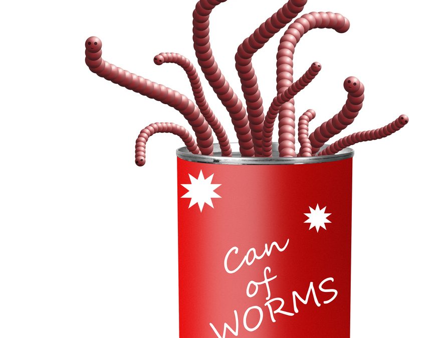 The Can of Worms I Chose Not to Ignore